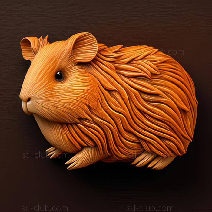 st Guinea pig